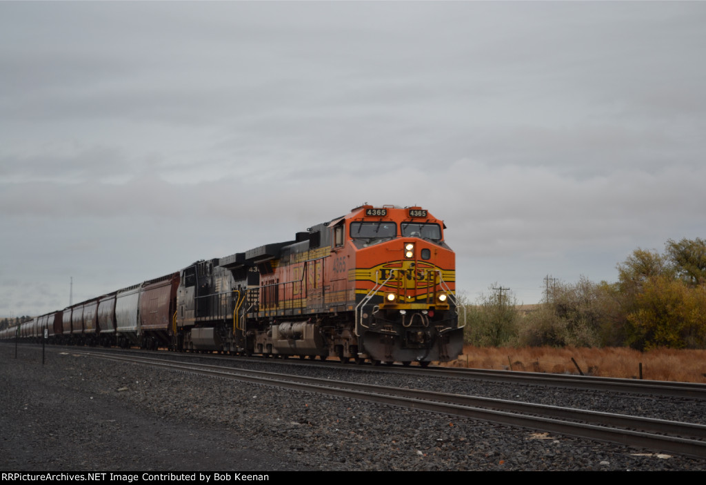 BNSF 4365